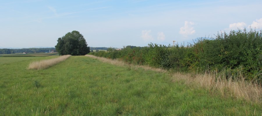 Agriculture et environnement