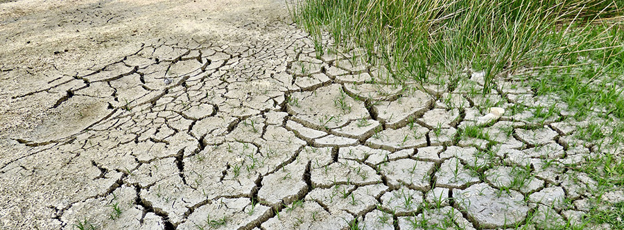 Changement climatique