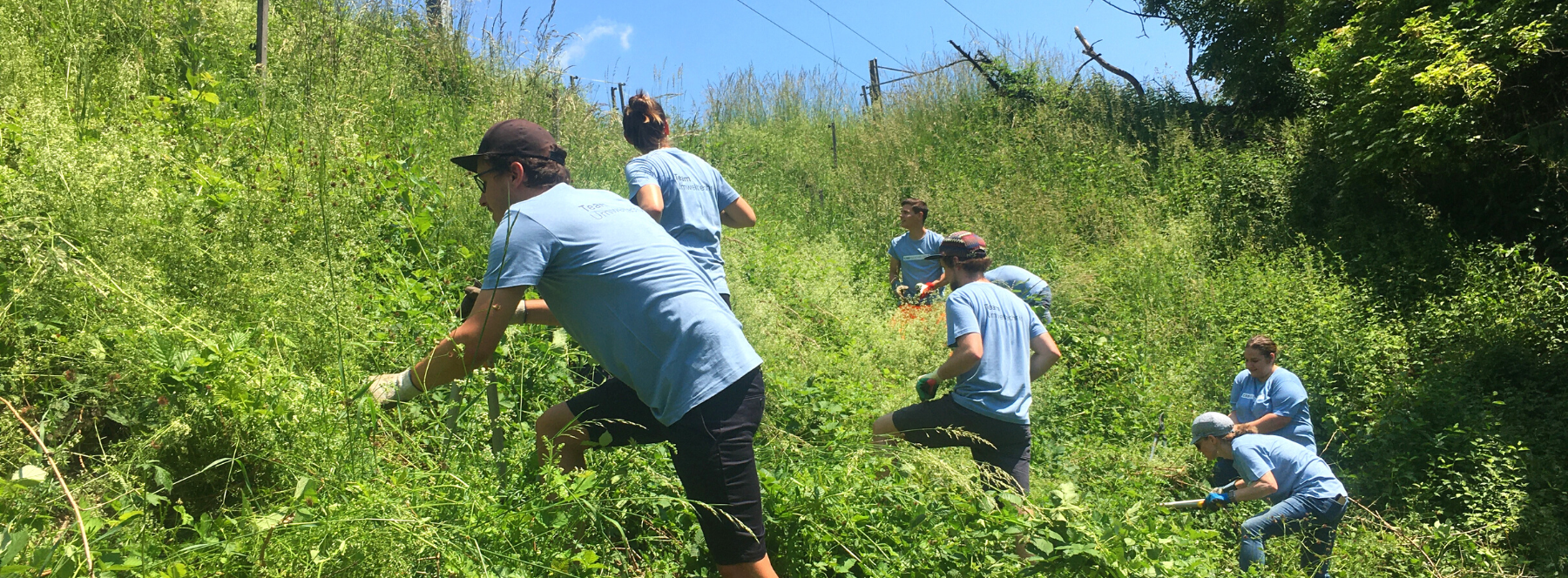 210709-action-biodiversit-brugg