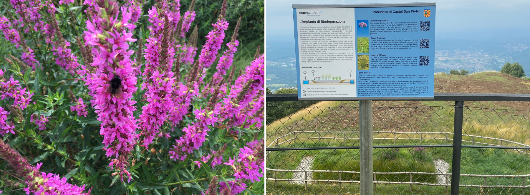 210728-action-biodiversite-panneau-didactique