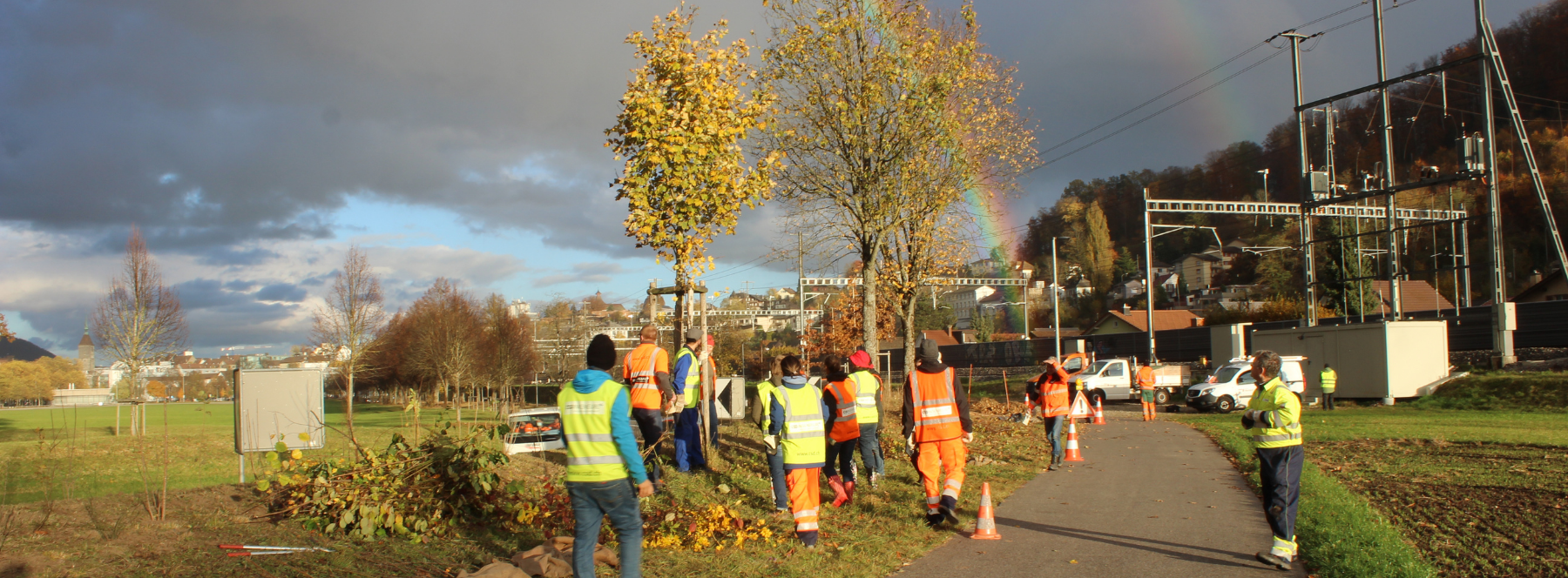 action-biodiversit-aarau-haie