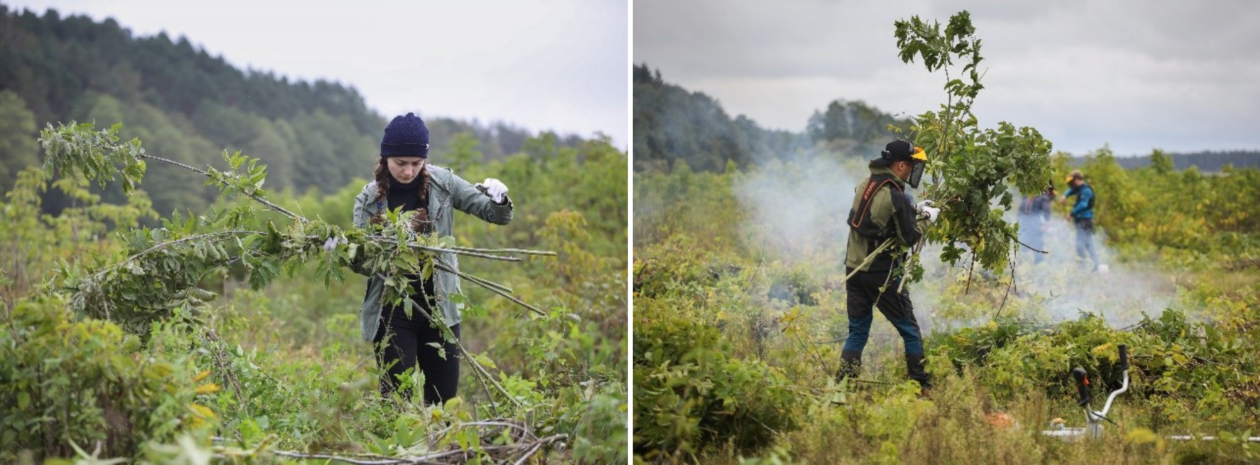 211111-action-biodiversit-vilnius-2