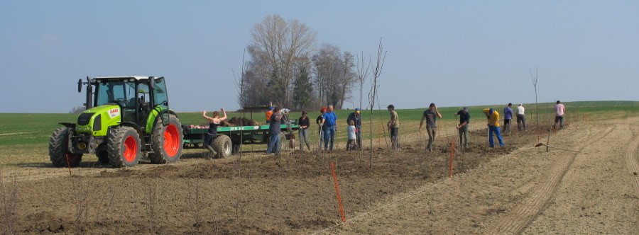 Agriculture et environnement