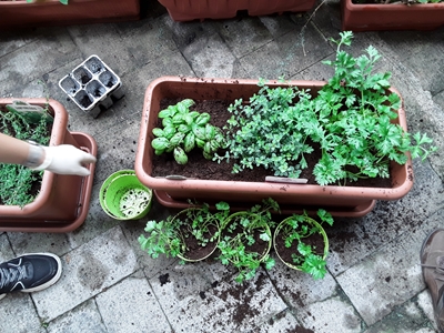 201008-action-milan-jardin4