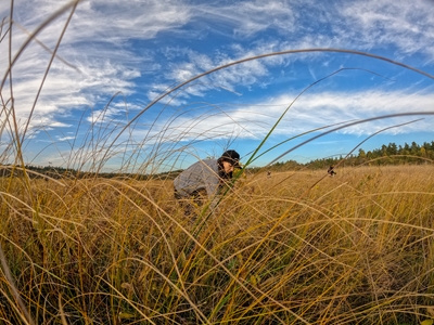 201105-action-biodiversite-vilnius1