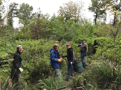 201215-action-biodiversite-biotope-berne